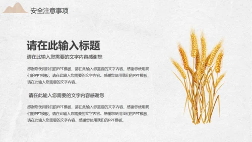 金色麦穗小满通用PPT模板