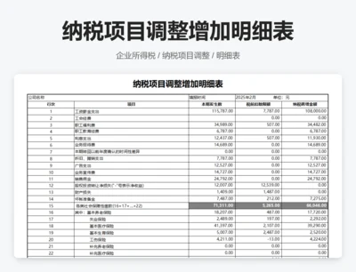 纳税调整增加项目明细表