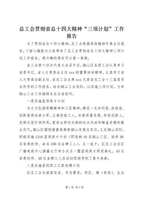 总工会贯彻省总十四大精神“三项计划”工作报告.docx