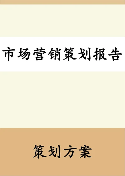 市场营销策划报告