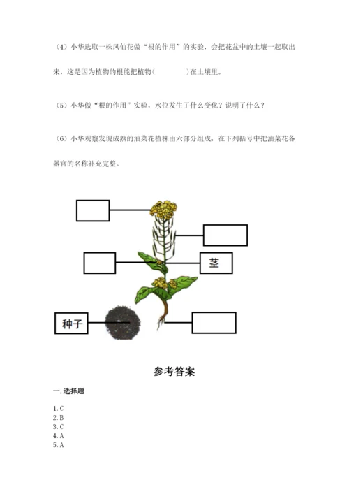 科学四年级下册第一单元植物的生长变化测试卷（含答案）.docx