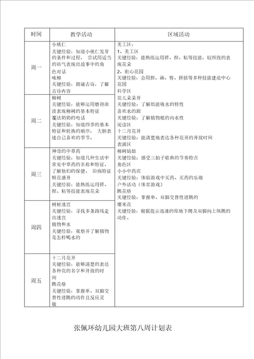 大班下学期周计划