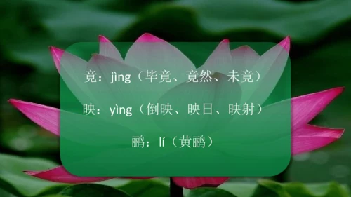 二下《古诗二》第一课时