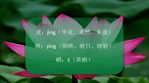 二下《古诗二》第一课时