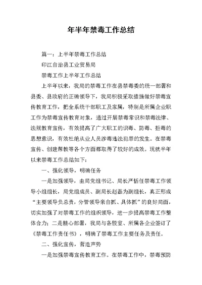 年半年禁毒工作总结