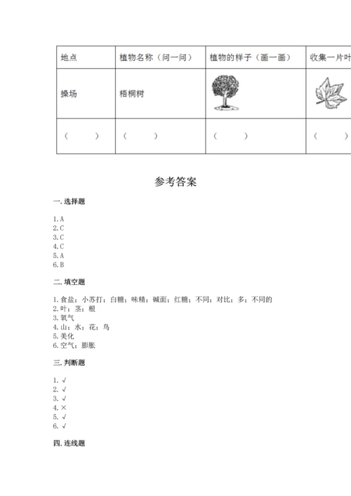 教科版科学一年级上册第一单元《植物》测试卷（考试直接用）word版.docx