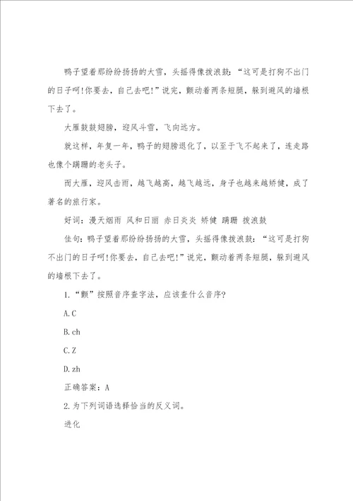 大雁和鸭子现代文阅读答案