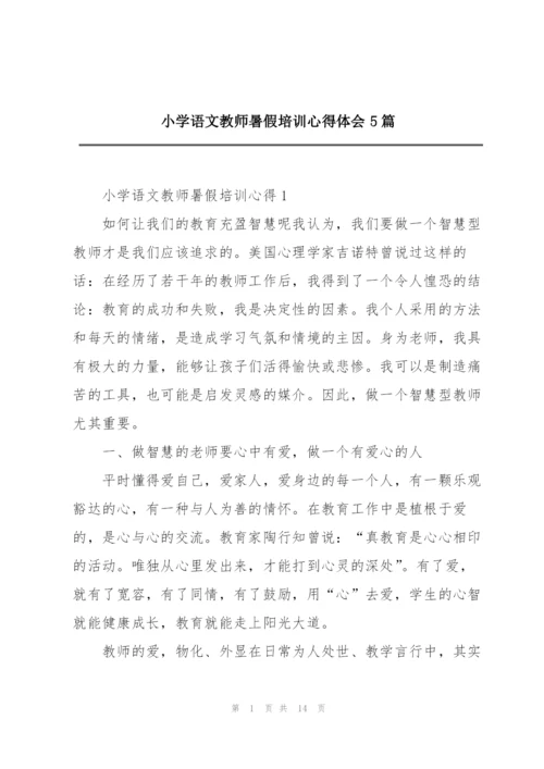 小学语文教师暑假培训心得体会5篇.docx