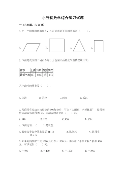 小升初数学综合练习试题精品（必刷）.docx