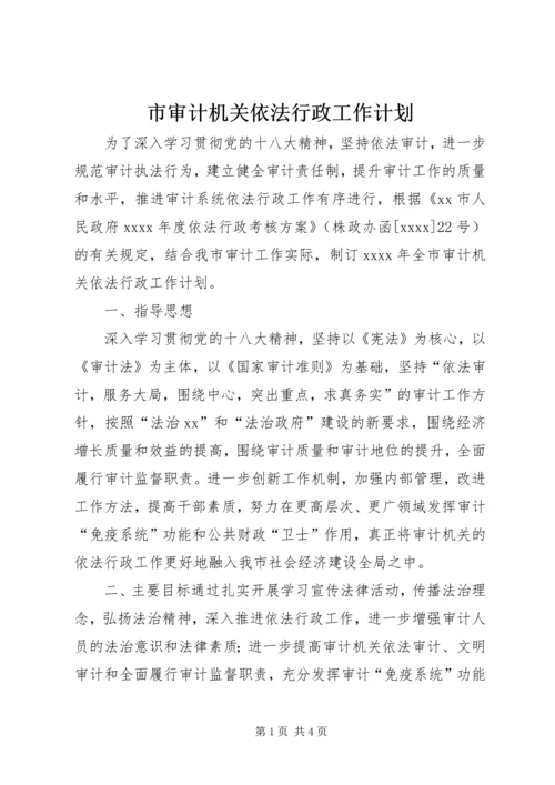 市审计机关依法行政工作计划.docx