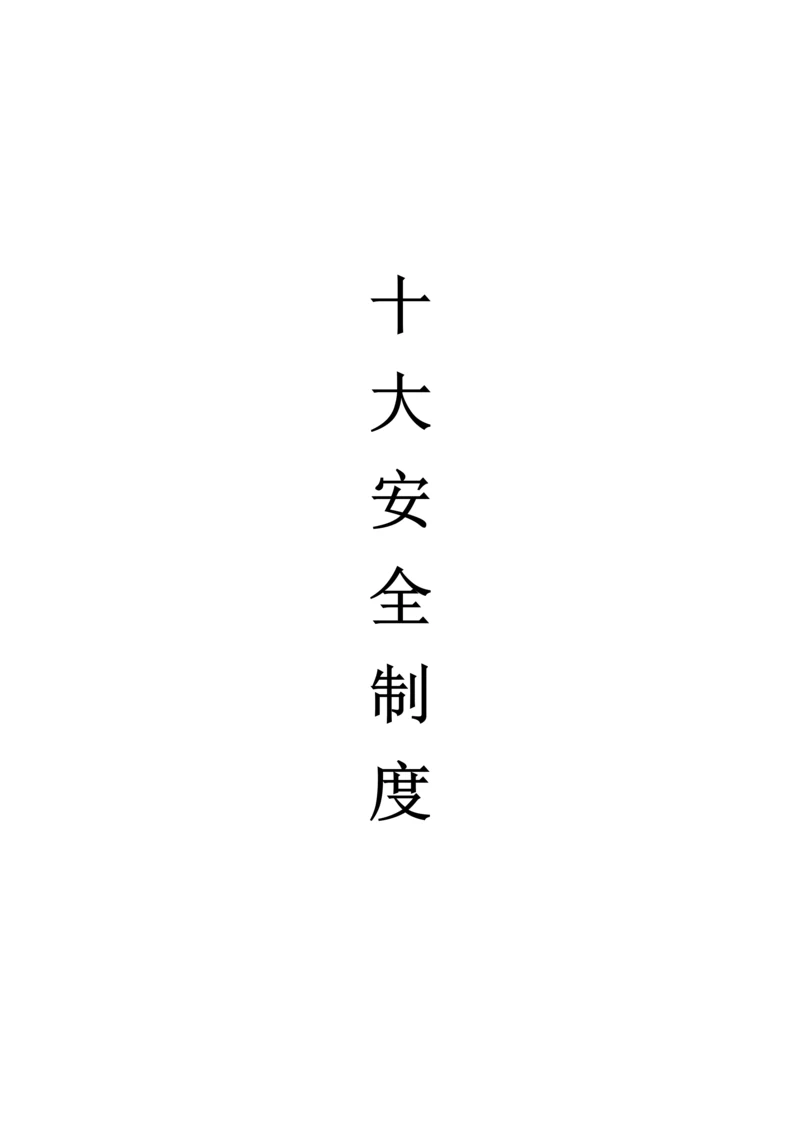 医院十大安全核心制度.docx