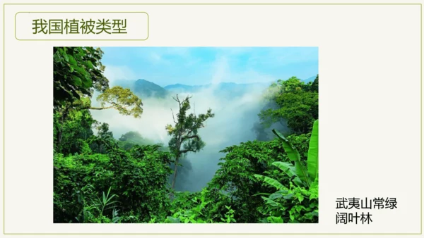 3.6 爱护植被，绿化祖国2023-2024学年七年级生物上学期同步精品课件（人教版）(共21张PP