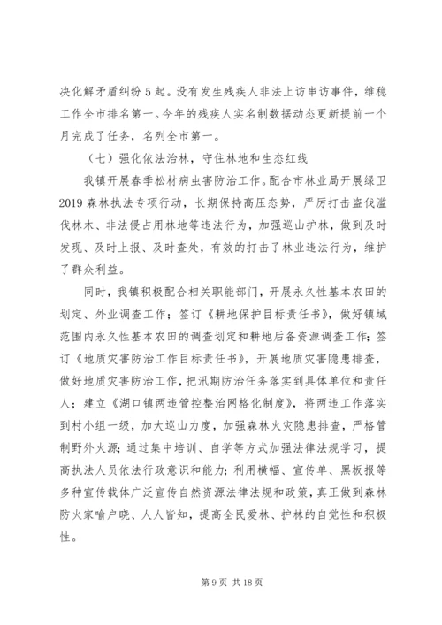 湖口镇XX年工作总结及XX年工作计划.docx