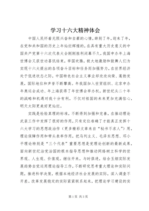 学习十六大精神体会 (2).docx