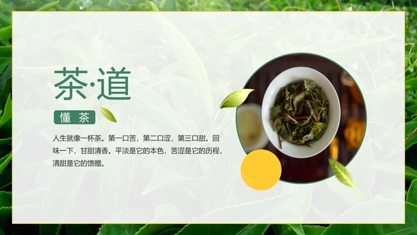 绿色实景茶园茶道科普介绍PPT模板