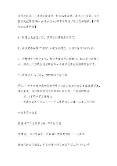 市政市容工作总结