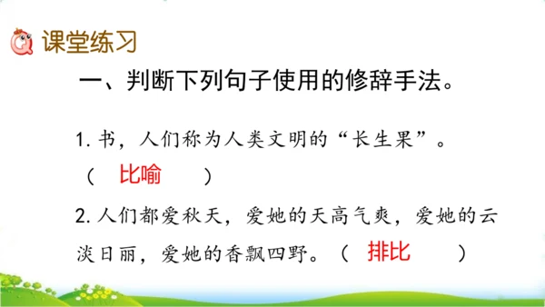 27 我的“长生果“   课件