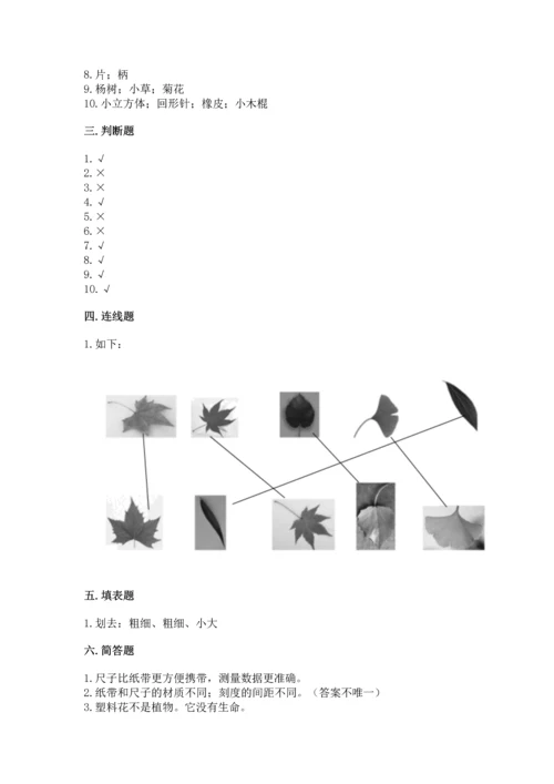 教科版一年级上册科学期末测试卷附答案【巩固】.docx
