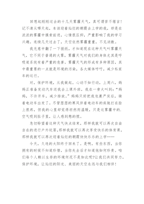 雾霾议论文精编.docx