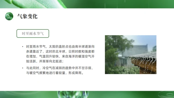 雨水绿色露水背景通用PPT模板