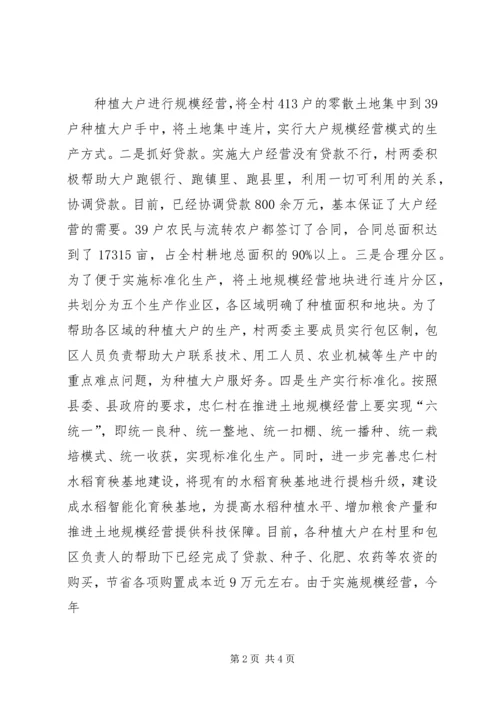 土地规模经营汇报 (2).docx