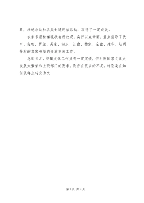 乡镇文化站某年工作总结及某年规划.docx