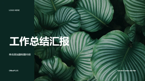 绿色植物工作总结PPT案例