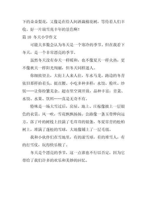 2024年最新乡村的冬天小学作文500字篇