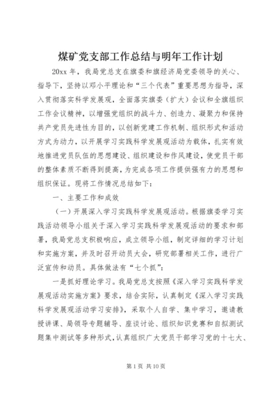 煤矿党支部工作总结与明年工作计划 (2).docx