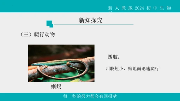 人教版生物七年级上册2.2.2《脊椎动物》（第1课时）课件(共42张PPT)+视频素材