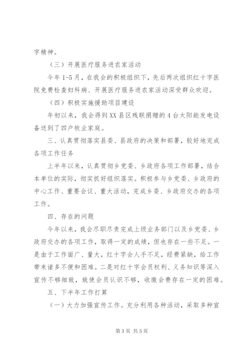 上半年乡镇红十字会工作总结.docx