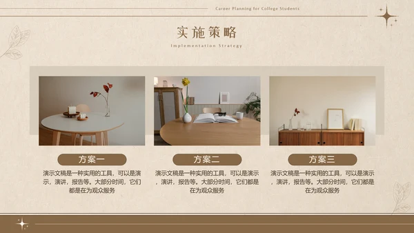 美拉德色大学生职业生涯规划PPT模板