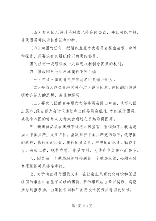 企业共青团工作制度.docx