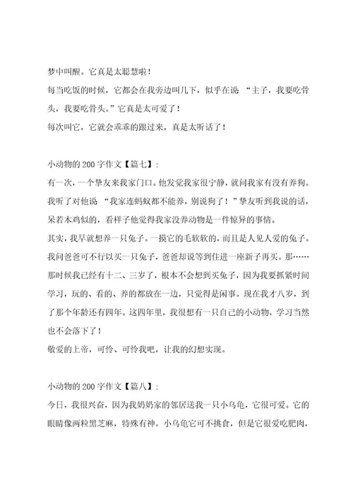 小动物的200字作文汇编14篇作文