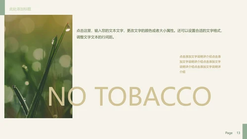 高级极简风世界无烟日主题PPT模板