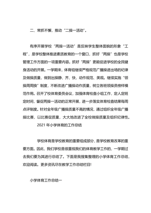 农村小学2019年体育工作总结.docx