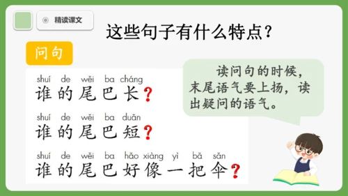 8《比尾巴》课件
