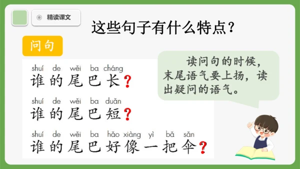 8《比尾巴》课件