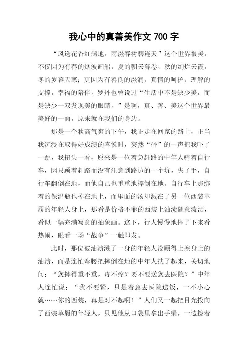 我心中的真善美作文700字.docx