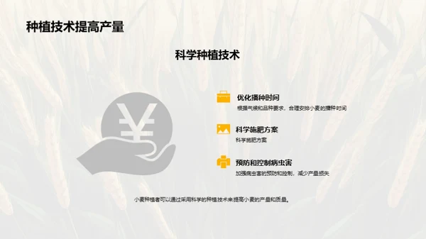 小麦种植科技解读