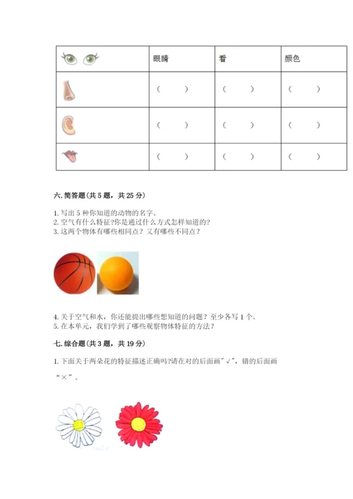 教科版一年级下册科学期末测试卷附参考答案【基础题】.docx