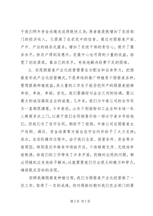 增收增效发展弱筋麦产业促进农业增收增效.docx