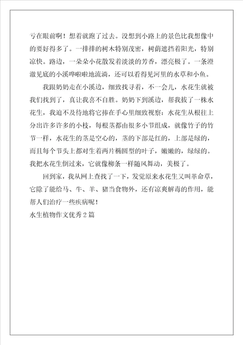 水生植物作文优秀2篇