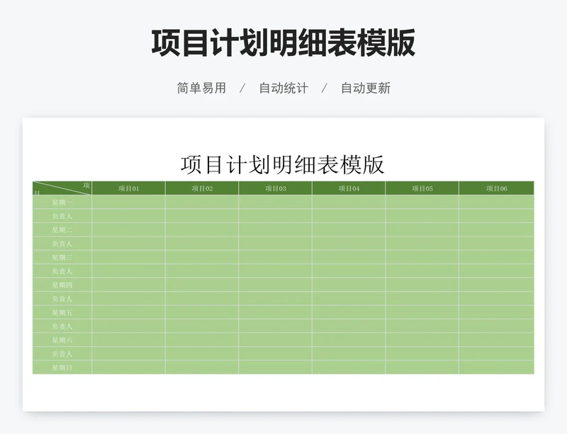 项目计划明细表模版