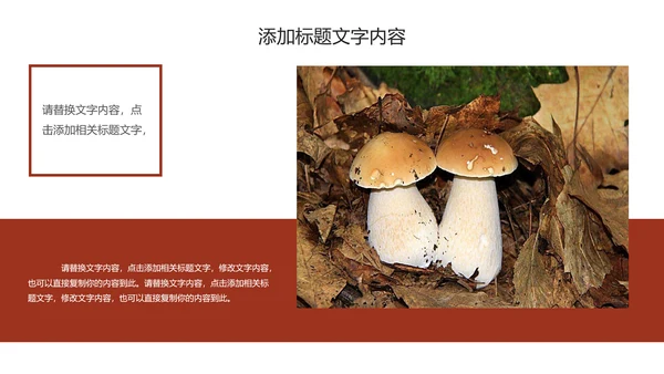 蘑菇菌类养生文化宣传动态PPT模板