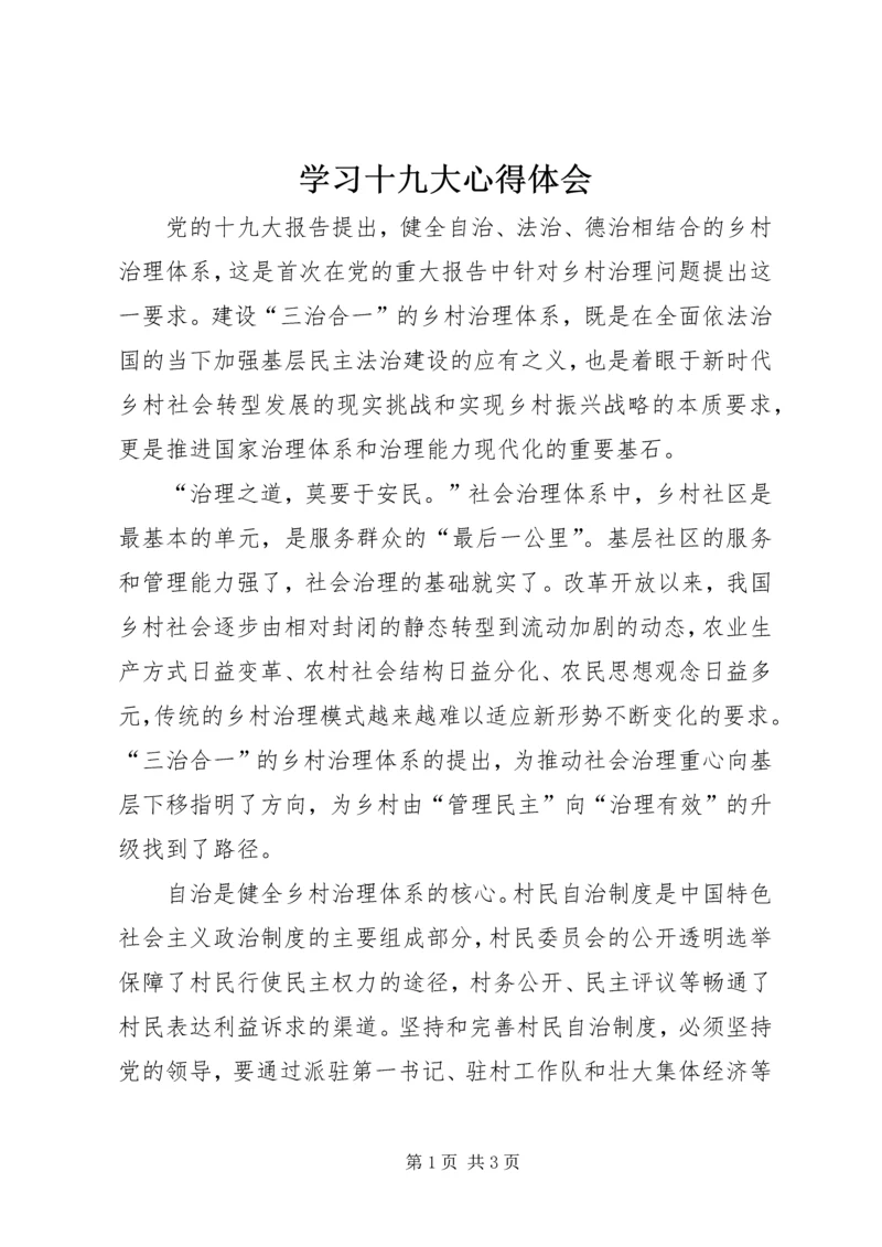 学习十九大心得体会 (28).docx