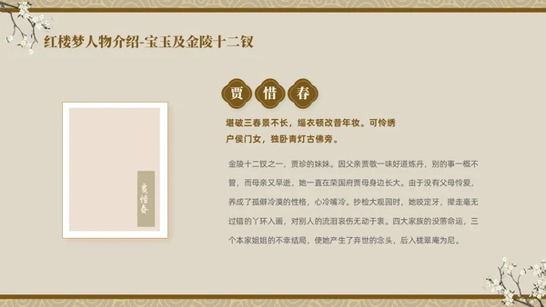 褐色复古中国风中国四大名著之红楼梦人物介绍PPT