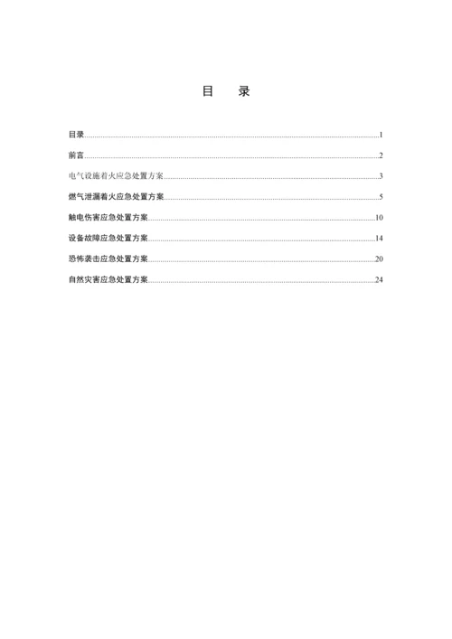 CNG加气站现场处置专题方案生产安全事故应急全新预案.docx