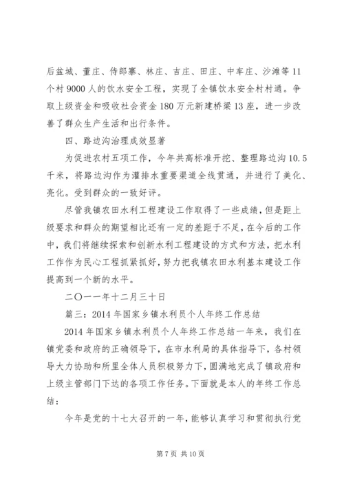 乡镇水利工作个人总结.docx