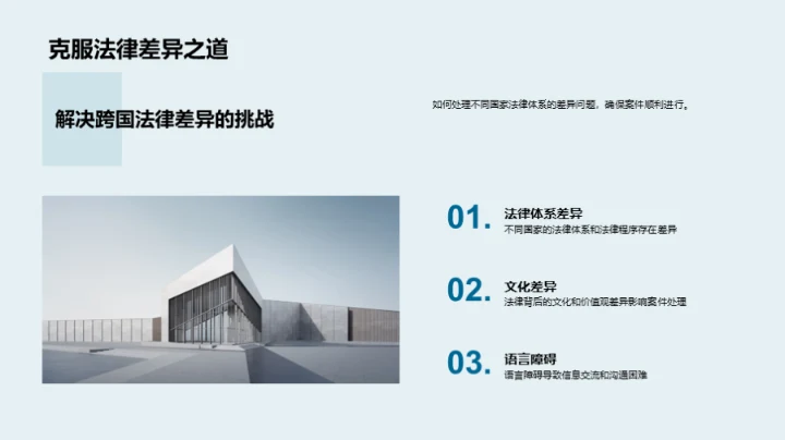 律师年度工作综述